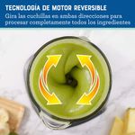 BLSTPEG-BRT-3